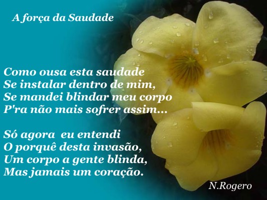 A Força da Saudade (N.Rogero)