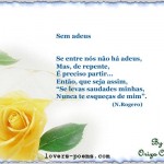 Sem Adeus... (N.Rogero)