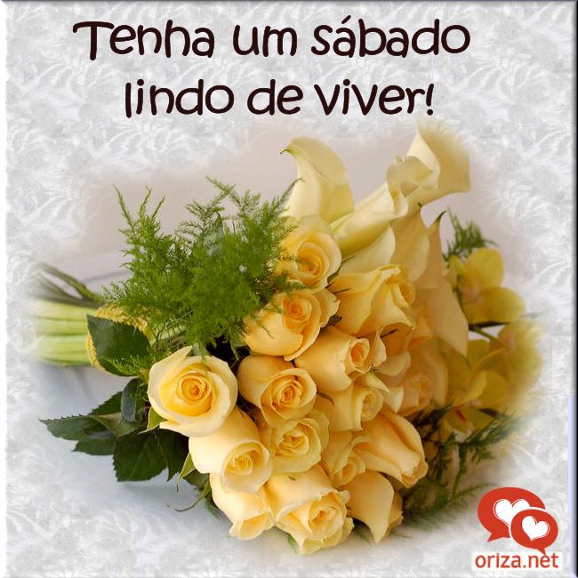 sábado-celular-003
